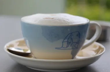 Ονειροκρίτης αφρόγαλα