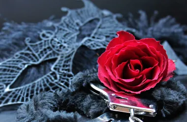 Ονειροκρίτης αποπλάνηση