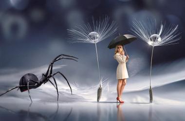 Ονειροκρίτης αράχνη