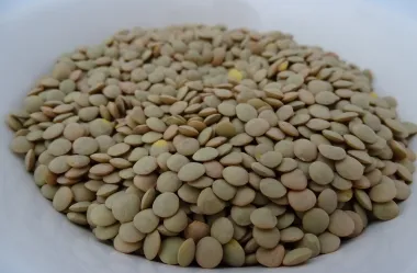 Ονειροκρίτης φακές