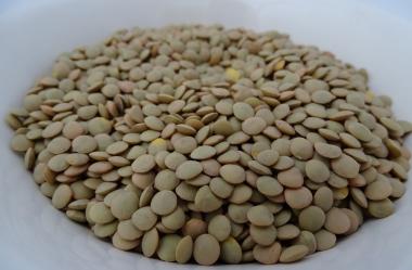 Ονειροκρίτης φακές