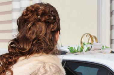 Ονειροκρίτης γούνα