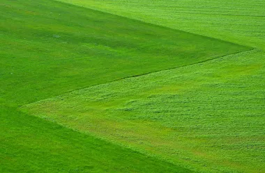 Ονειροκρίτης γκαζόν - χορτάρι