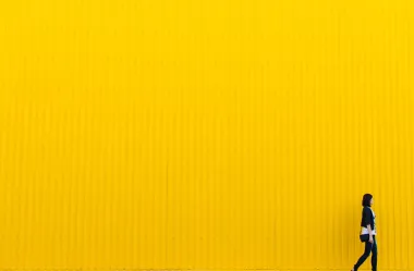 Ονειροκρίτης κίτρινο