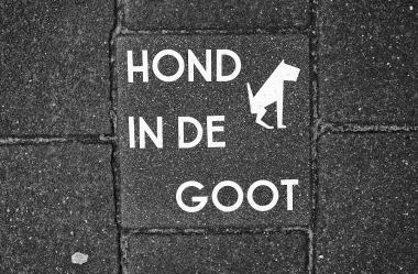 Ονειροκρίτης κόπρανα (ακαθαρσίες - σκατά)