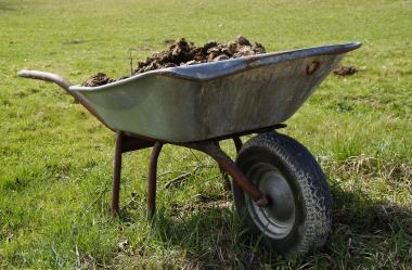 Ονειροκρίτης κοπριά