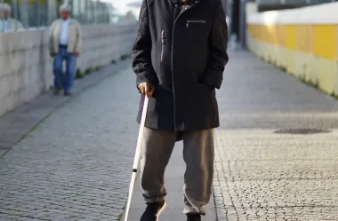 Ονειροκρίτης κουτσός