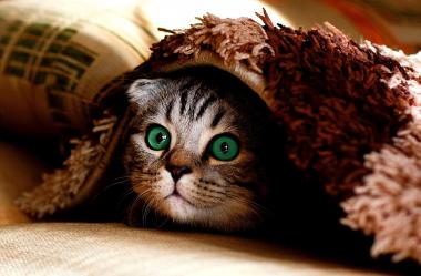 Ονειροκρίτης κρύβω - κρύψιμο