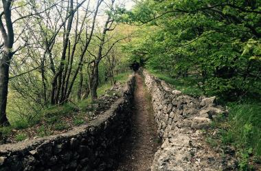 Ονειροκρίτης λάκκος