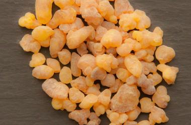 Ονειροκρίτης λιβάνι