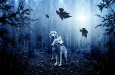 Ονειροκρίτης λύκος