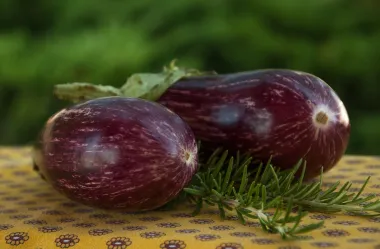 Ονειροκρίτης μελιτζάνα