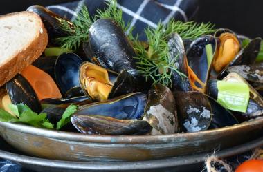 Ονειροκρίτης μύδια