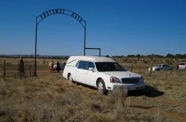 Ονειροκρίτης νεκροφόρα