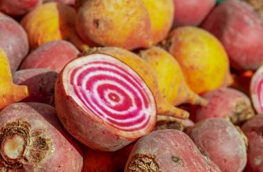 Ονειροκρίτης παντζάρια