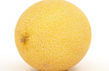 Ονειροκρίτης πεπόνι