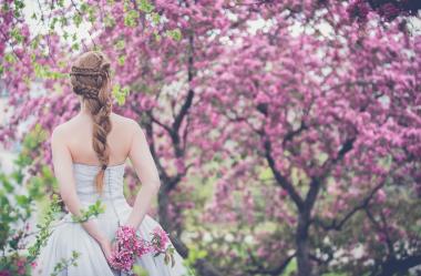 Ονειροκρίτης πλεξούδες