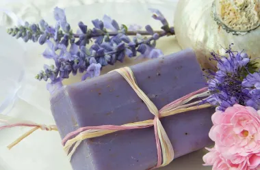 Ονειροκρίτης σαπούνι