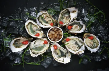 Ονειροκρίτης θαλασσινά