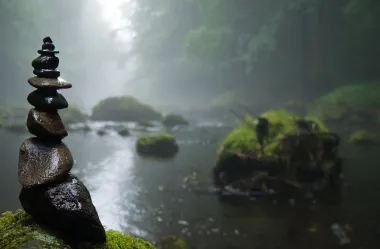 Ονειροκρίτης βάλτος