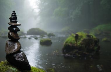 Ονειροκρίτης βάλτος