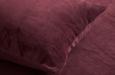 Ονειροκρίτης βελούδο