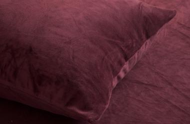 Ονειροκρίτης βελούδο