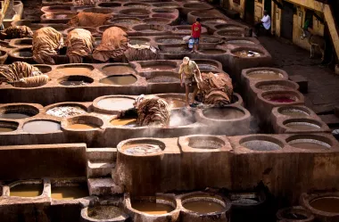 Ονειροκρίτης βυρσοδεψία βυρσοδέψης