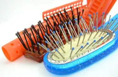 Ονειροκρίτης βούρτσα