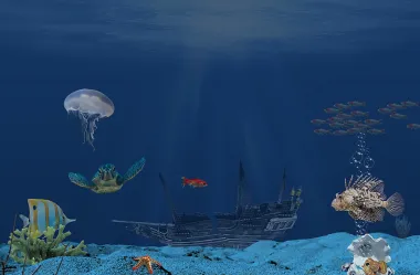 Ονειροκρίτης βυθός