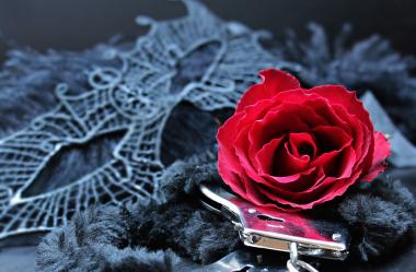 Ονειροκρίτης ξελογιάζω - ξελόγιασμα