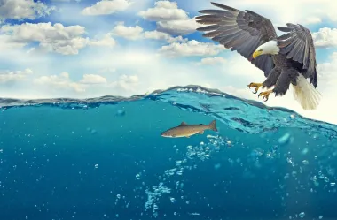 Ονειροκρίτης αετός