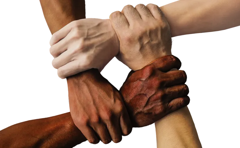 Ονειροκρίτης ομάδα