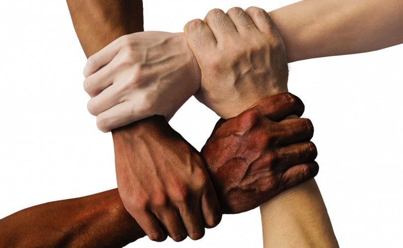 Ονειροκρίτης ομάδα