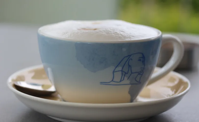 Ονειροκρίτης αφρόγαλα