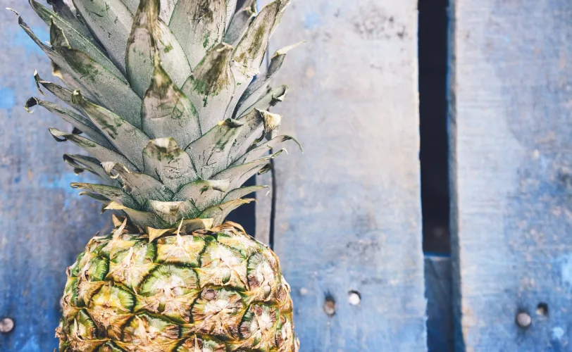 Ονειροκρίτης ανανάς