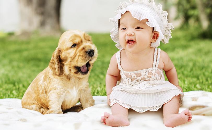 Ονειροκρίτης ανέκδοτο - αστείο