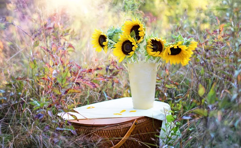 Ονειροκρίτης λουλούδια (άνθη)