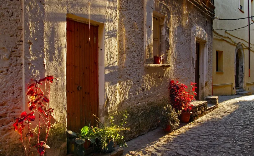 Ονειροκρίτης απόγευμα