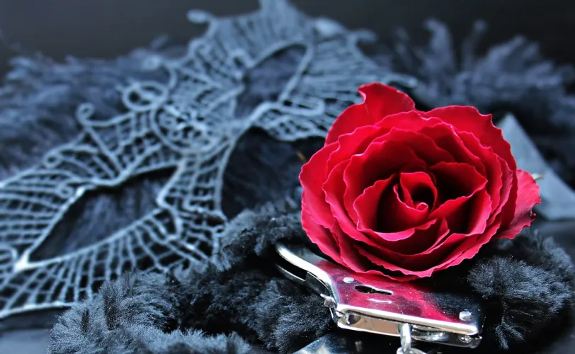 Ονειροκρίτης αποπλάνηση