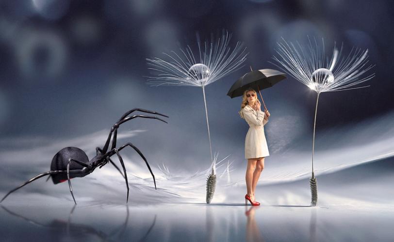 Ονειροκρίτης αράχνη