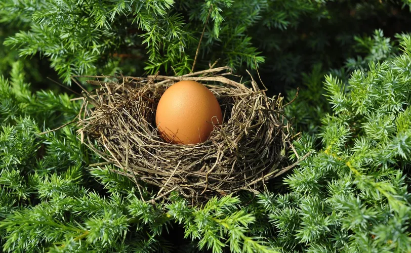 Ονειροκρίτης αυγά (αυγό)