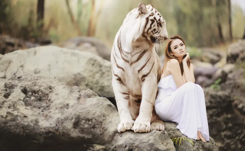 Ονειροκρίτης αυτοκράτειρα