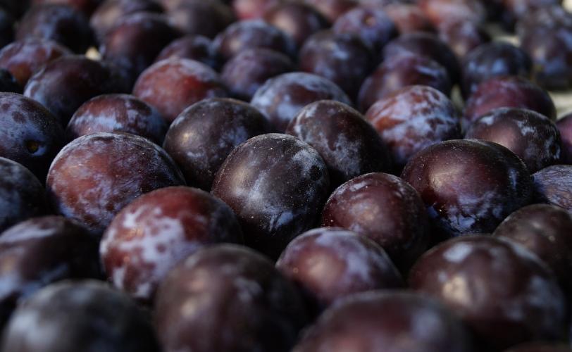 Ονειροκρίτης δαμάσκηνο - δαμάσκηνα