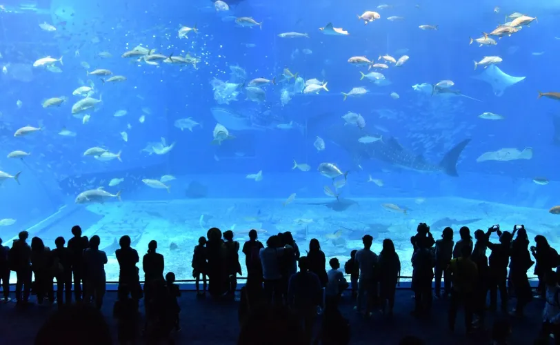 Ονειροκρίτης δεξαμενή