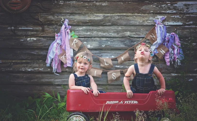 Ονειροκρίτης δίδυμοι - δίδυμα