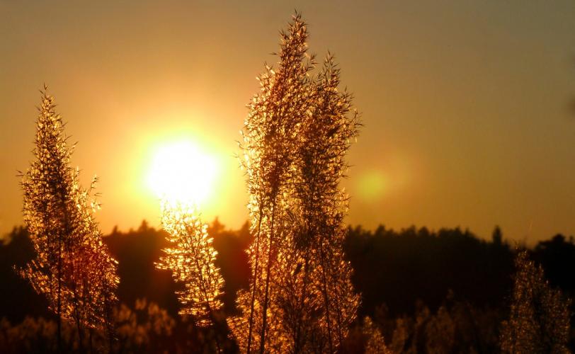 Ονειροκρίτης δύση - ηλιοβασίλεμα