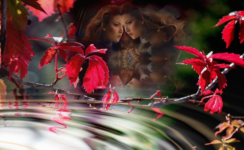 Ονειροκρίτης εξαφάνιση