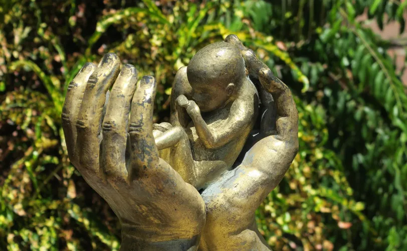 Ονειροκρίτης έκτρωση