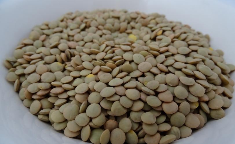 Ονειροκρίτης φακές